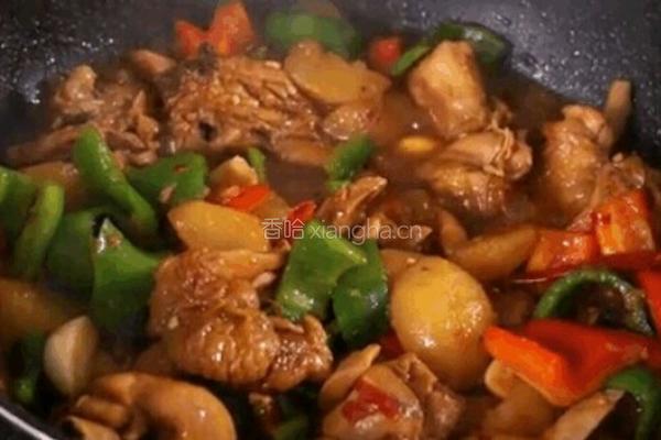 啤酒炖笨鸡的做法图解5