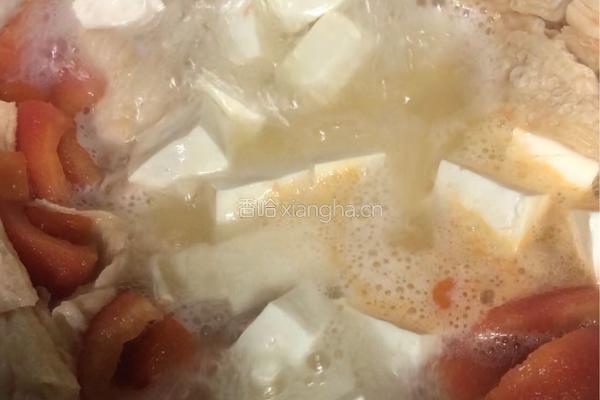 番茄豆腐牛奶杂锦汤的做法图解5
