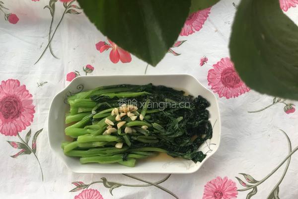 蒜蓉菜心的做法图解7