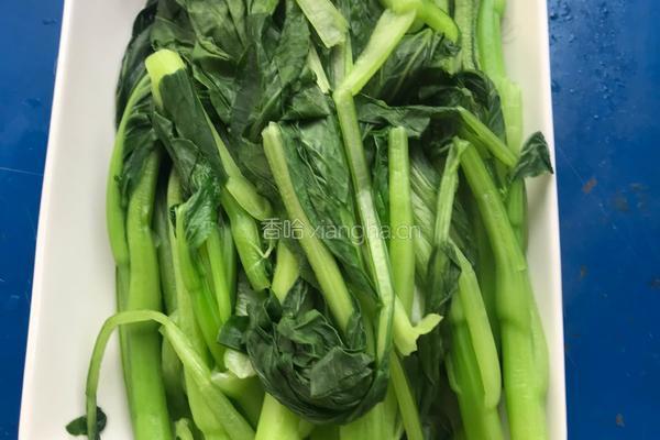 蒜蓉菜心的做法图解3