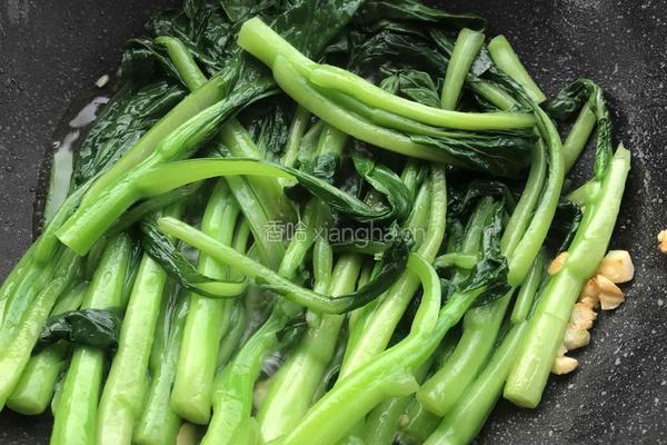 蒜蓉菜心的做法图解5