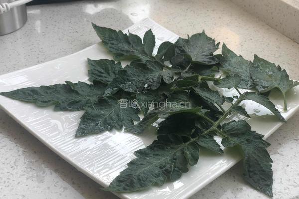 新素食-素五丁杯的做法图解10