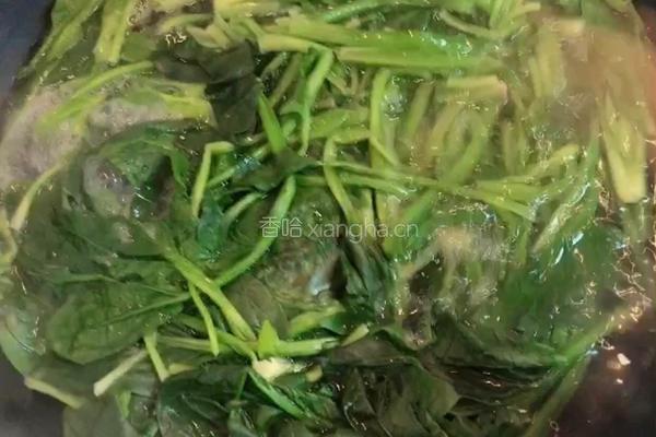 菠菜拌粉丝的做法图解4