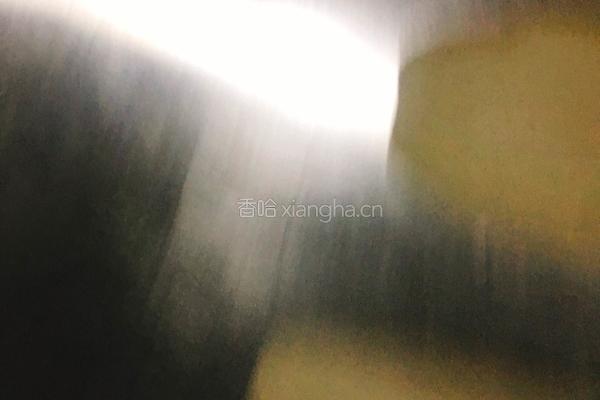 猪油版老婆饼的做法图解24