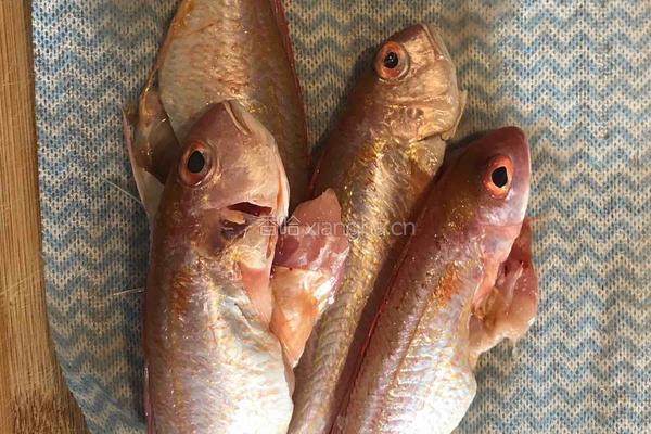 番茄煮红杉鱼的做法图解3