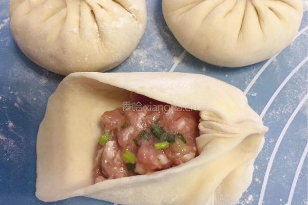 大肉包的做法图解7