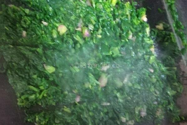 菠菜面条的做法图解3