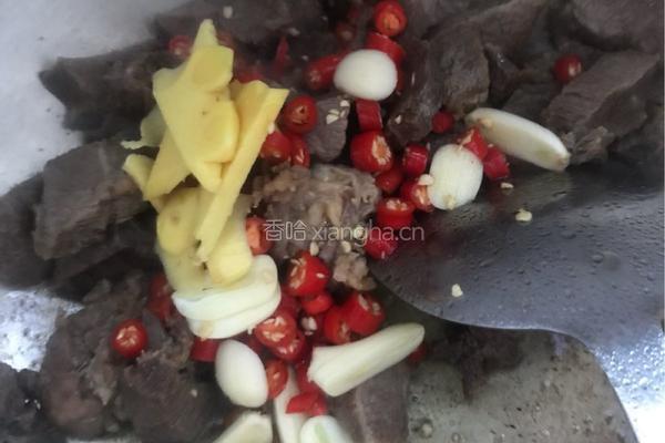 牛肉煨胡萝卜?的做法图解3