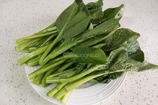 蒜蓉菜心的做法图解2