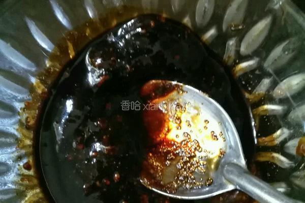 沙锅酱焖鸭的做法图解4