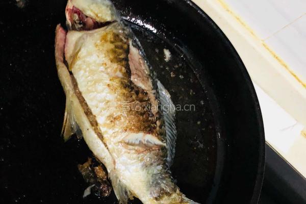 鲫鱼豆腐汤的做法图解3