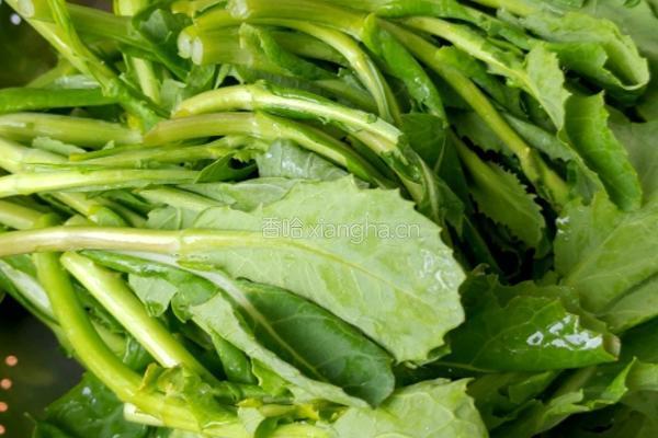 清炒油菜心的做法图解1