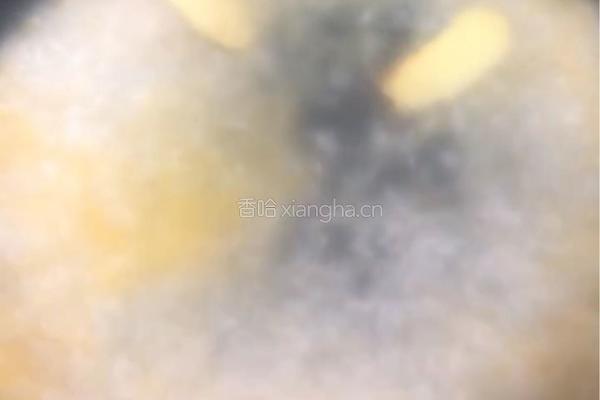 婴儿辅食之玉米糁排骨粥的做法图解3