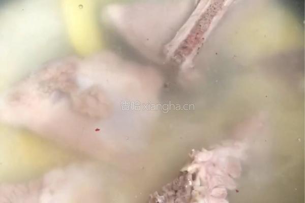 婴儿辅食之玉米糁排骨粥的做法图解4