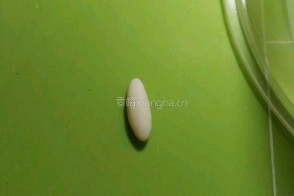 可爱猪猪陪你闹元宵的做法图解25