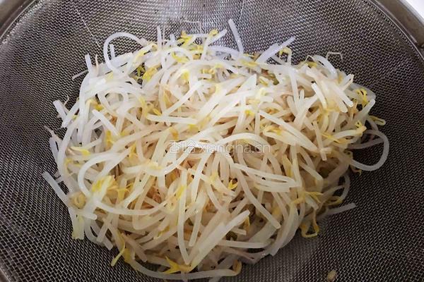 凉拌绿豆芽的做法图解3