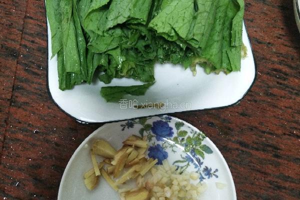 蒜蓉苦麦菜的做法图解1