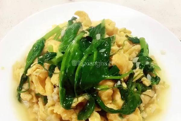 （正月十五闹元宵）豌豆尖炒鸡蛋