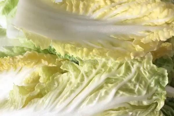 （正月十五闹元宵）蒜香娃娃菜的做法图解1
