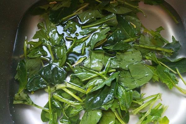 正月十五闹圆宵 木耳菠菜炒鸡蛋的做法图解2