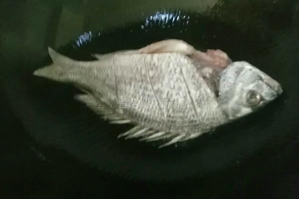 笋干烧黄鳍鲷鱼的做法图解3