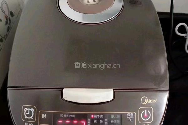 电饭煲叉烧的做法图解5