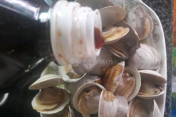 清蒸文蛤的做法图解6