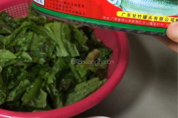 豆豉鲮鱼油麦菜的做法图解1