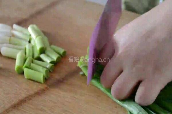 蘑菇汇猪血的做法图解3