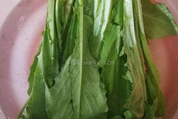 素扒油麦菜的做法图解2