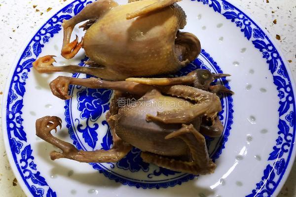 红枣枸杞乳鸽汤的做法图解4