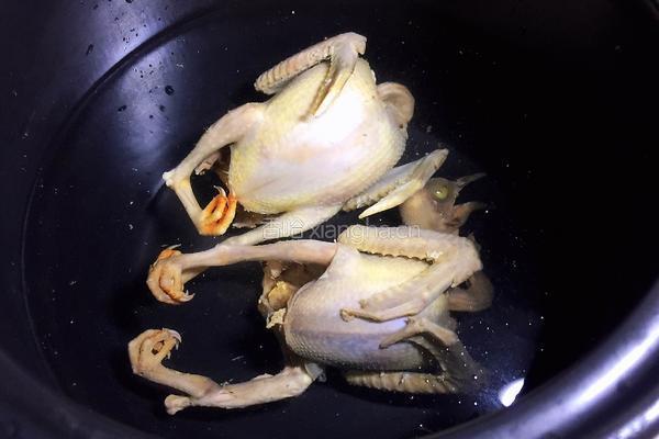 红枣枸杞乳鸽汤的做法图解5