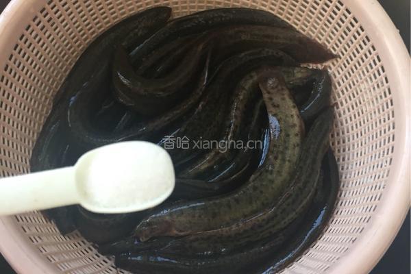 酱焖泥鳅的做法图解2