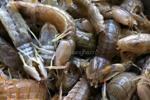 群龙戏珠（清蒸皮皮虾）的做法图解1
