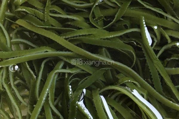 凉拌海带丝的做法图解3