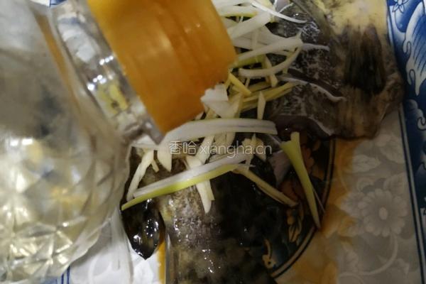 清蒸石斑鱼的做法图解9