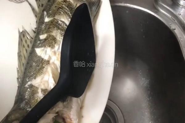 清蒸鲈鱼的做法图解4