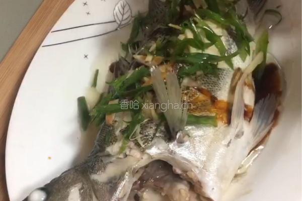 清蒸鲈鱼的做法图解8