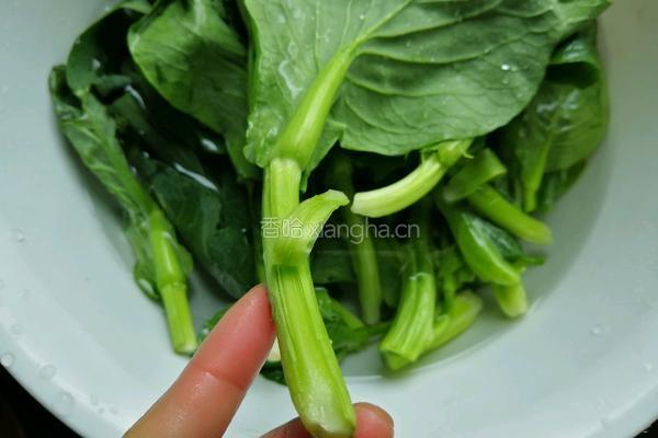 白灼菜心的做法图解1