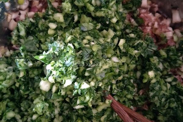 青菜香菇猪肉包的做法图解9