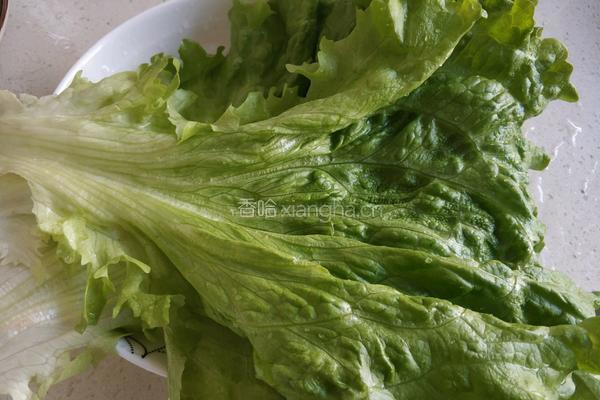 水果生菜沙拉的做法图解3