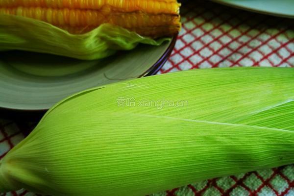 十分钟速食版之玉米碴子粥的做法图解2