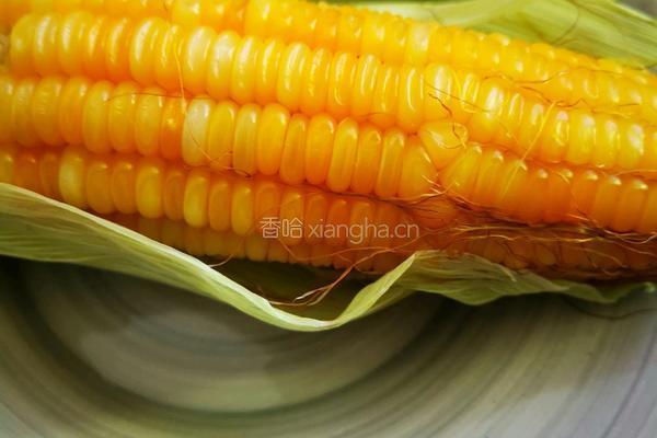 十分钟速食版之玉米碴子粥的做法图解3