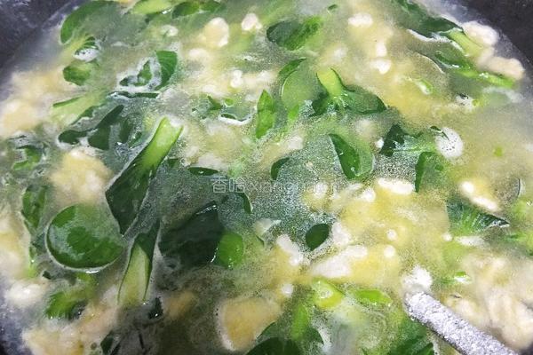 青菜疙瘩面汤的做法图解7