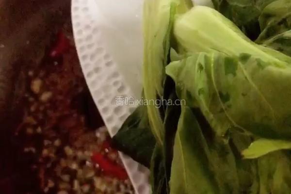 香辣蚝油菜苔的做法图解7