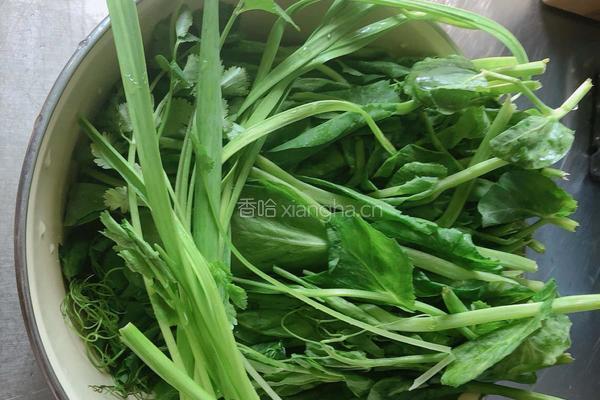 豌豆尖香菇酱拌面（香哈香菇酱）的做法图解1