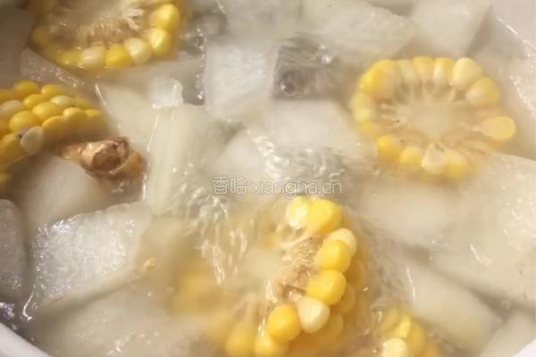 冬瓜玉米排骨汤的做法图解9