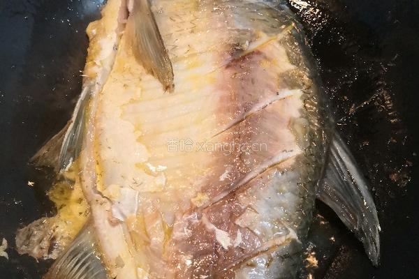 红烧鳊鱼的做法图解4