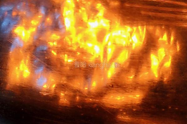 盐烤大虾的做法图解9