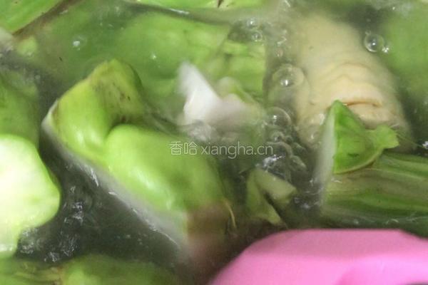 凉拌鲜榨菜的做法图解4